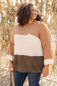 DOORBUSTER Three Times The Color Sweater in Toffee Combo