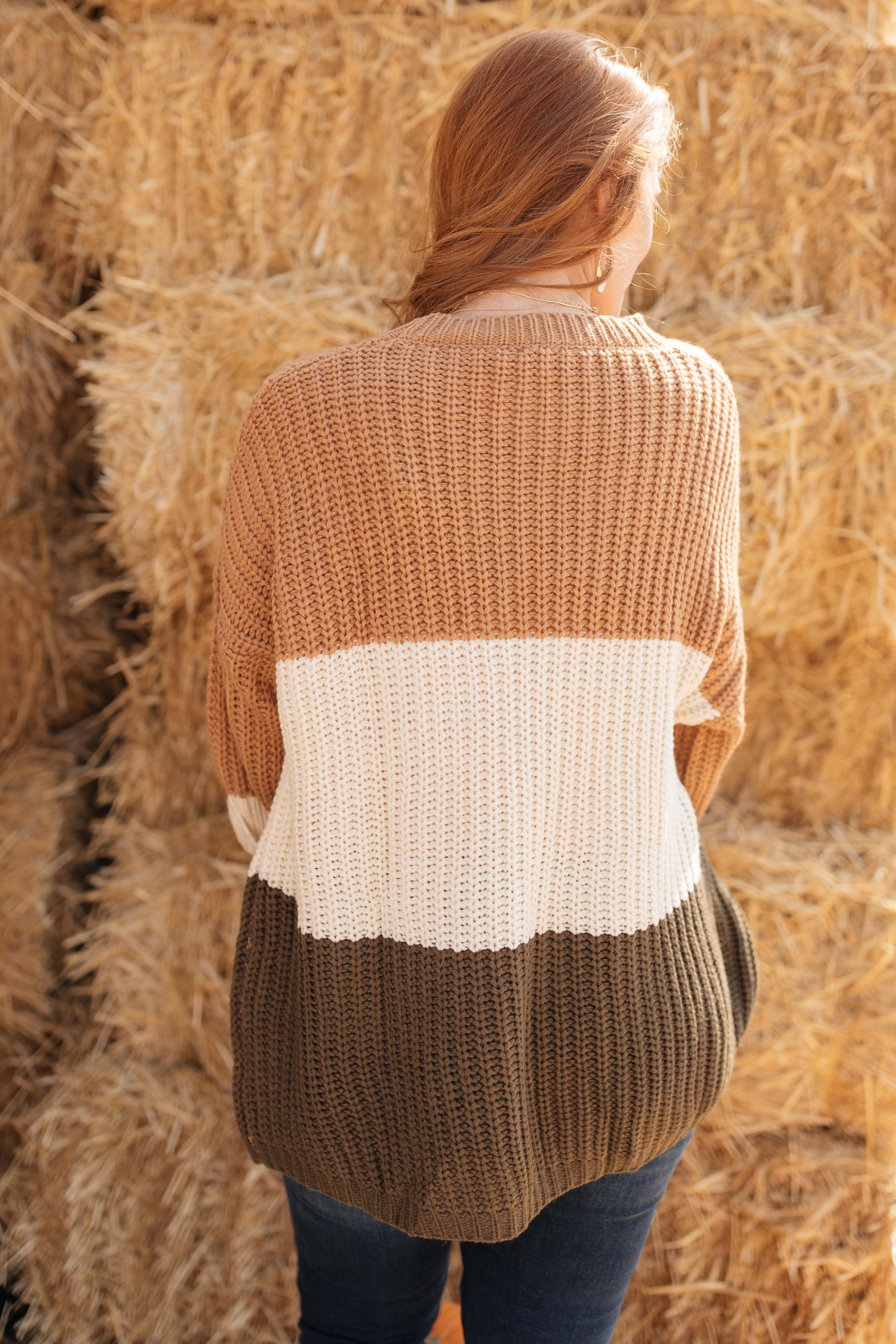 DOORBUSTER Three Times The Color Sweater in Toffee Combo