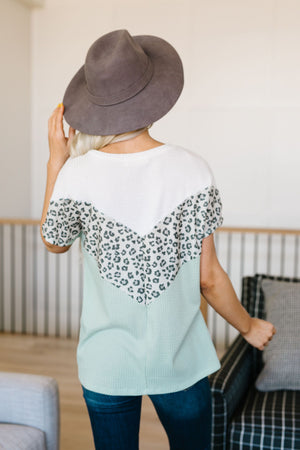 Spotted V Waffle Knit Top